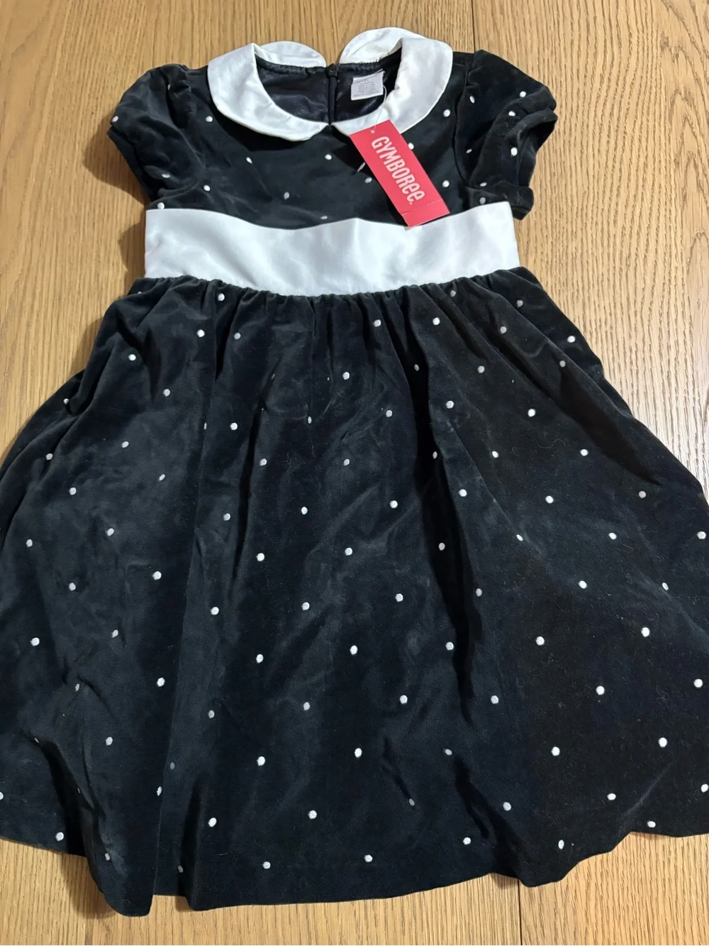 Gymboree Black Velvet Polka Dot Dress with White Collar and Waistband
